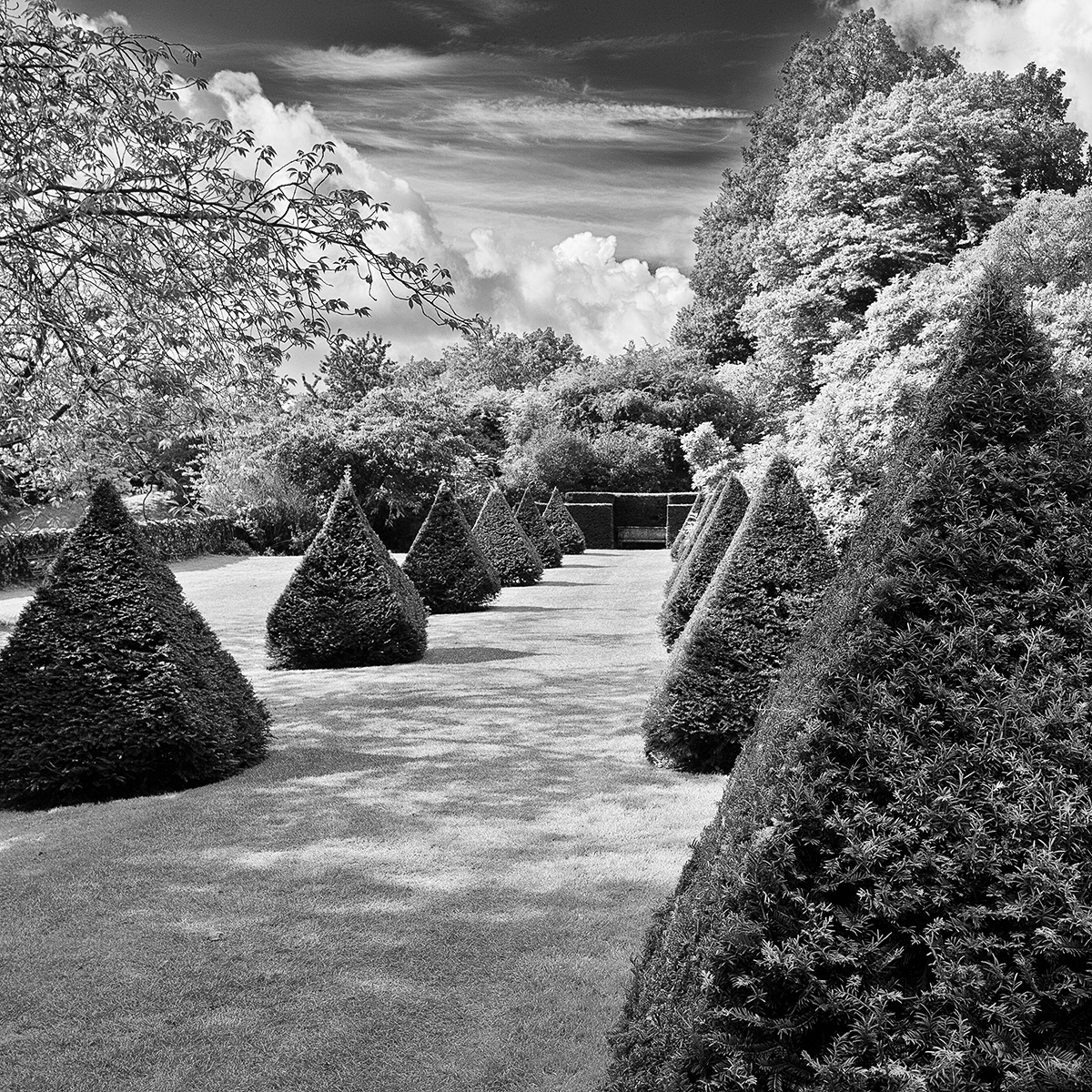 Fine Art Printing for Photographers