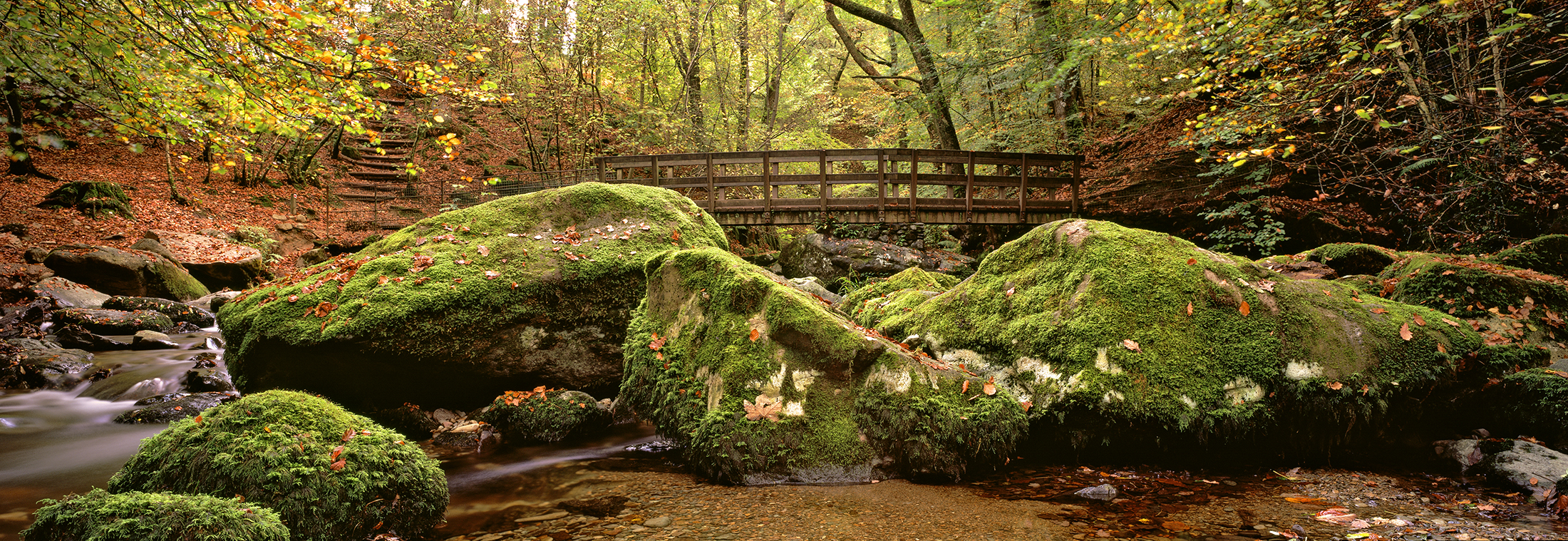 Stockghyll